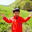 손톱에꽃 Daum카페
