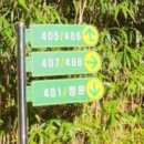 신동아아파트 4차 앞 이미지