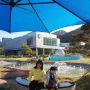 삼척양계장 | [ 태백 ] 삼척 도계 유리나라 , 피노키오나라 솔직 후기