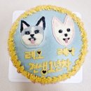 멍또와 | 부산 기장 애견운동장 멍또와(견생1년차 생일파티)