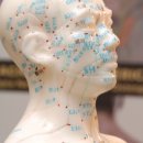 시화경희한의원 이미지