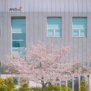 오션제일합기도 이미지