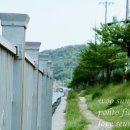 수영교 이미지