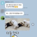 개러리아 송파점 이미지