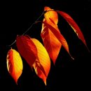 유한회사 날마다 이미지