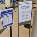 [공지] 대구 더현대 삼성라이온즈x바오패밀리 팝업스토어 방문 후기 및 현장 예약 일정