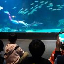 의흥초교석산분교 이미지