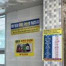 도동활어회센터