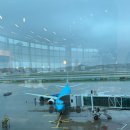 마티나골드후기/쿤밍공항 주의점/3만원 호텔 후기