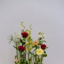decorative parallel 이미지