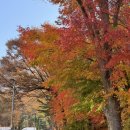 상계우리들약국 | 11월 일기 (2) - 불암산 등산과 시즈오카 여행 전반전