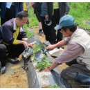 감물농장 이미지