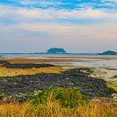 제주하도 이미지