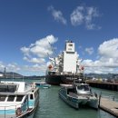 하버 | 크라이스트처치 다이아몬드 하버 후기