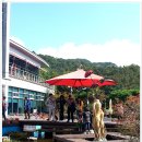 인삼랜드휴게소 이미지