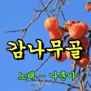 빨간 고무통에 심은 이미지