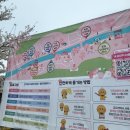 원남로-13 | 2025 구미 금리단길 벚꽃축제 토요일 방문 후기