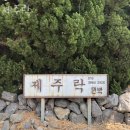 제주락 네이버블로그