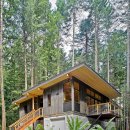 독특한 평면지붕과, 필로티 구조의 숲속 전원주택 이미지