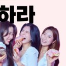 민죠이짐 이미지