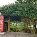 카페춘화의정원 이미지