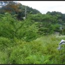 율길2리 마을회관 이미지