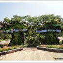 일산문화광장 화장실 이미지