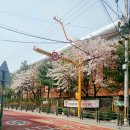 경기도 수원시 영통구 권광로304번길 이미지