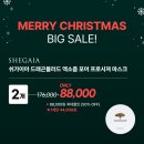 태리의 인생 첫 수업 + 미국 여행 뱅기표 티켓팅 완료 + 신년 사주 정보 쉐어 + 오늘밤 9시 라방, 밤...