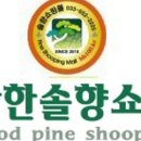 솔향가스