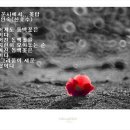 꽃탑 이미지