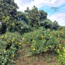 남원 제일농장 이미지