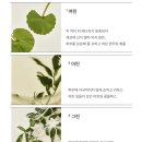 재이유통 | 아기수딩밤 수딩젤추천 아른 아기사용하기 좋은 수딩밤