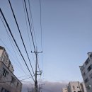 안락1동행정복지센터 이미지