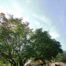 대관령솔내음오토캠핑장 이미지