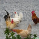 서울중구청 앞 이미지