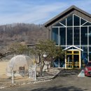 오독오독 반려견유치원 이미지