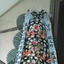 연세모두소아청소년과의원 이미지