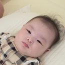 무진3차 | [생후 6개월] 6가 혼합백신 3차+독감 1차 접종, 튤립 사운드북, 장난감 후기