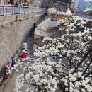 삼청동 코리아 게스트하우스