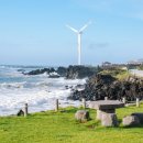 풍차캠핑장 이미지