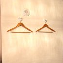 스테이인 1025 이미지