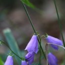 (주)이소 이미지