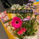 명지 꽃집 추천 로즈로제플라워 내돈내산 후기