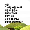 경상도 시골할머니가 키우는 손자 이미지