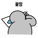 비어드베어