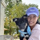 도로시지켜줄개 이미지