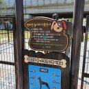 금곡동반려견놀이터 이미지