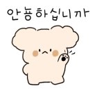 미국 영어 회화 성공기 (2) 이미지