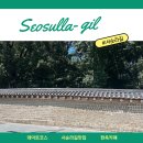 종로5가미래약국 이미지